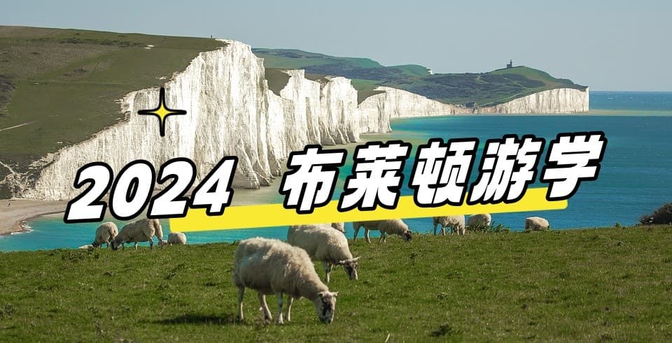 2024最新【英国游学#布莱顿#】 人气语言学校