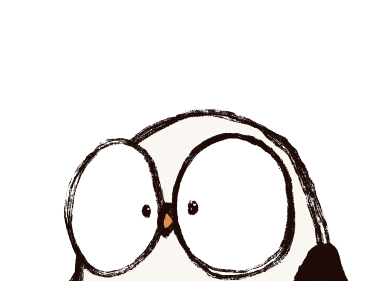 小鸥头部